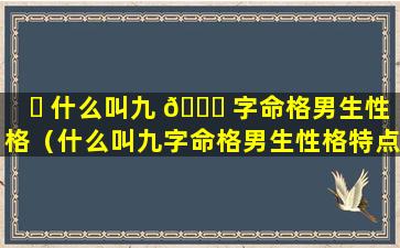 ☘ 什么叫九 🐝 字命格男生性格（什么叫九字命格男生性格特点）